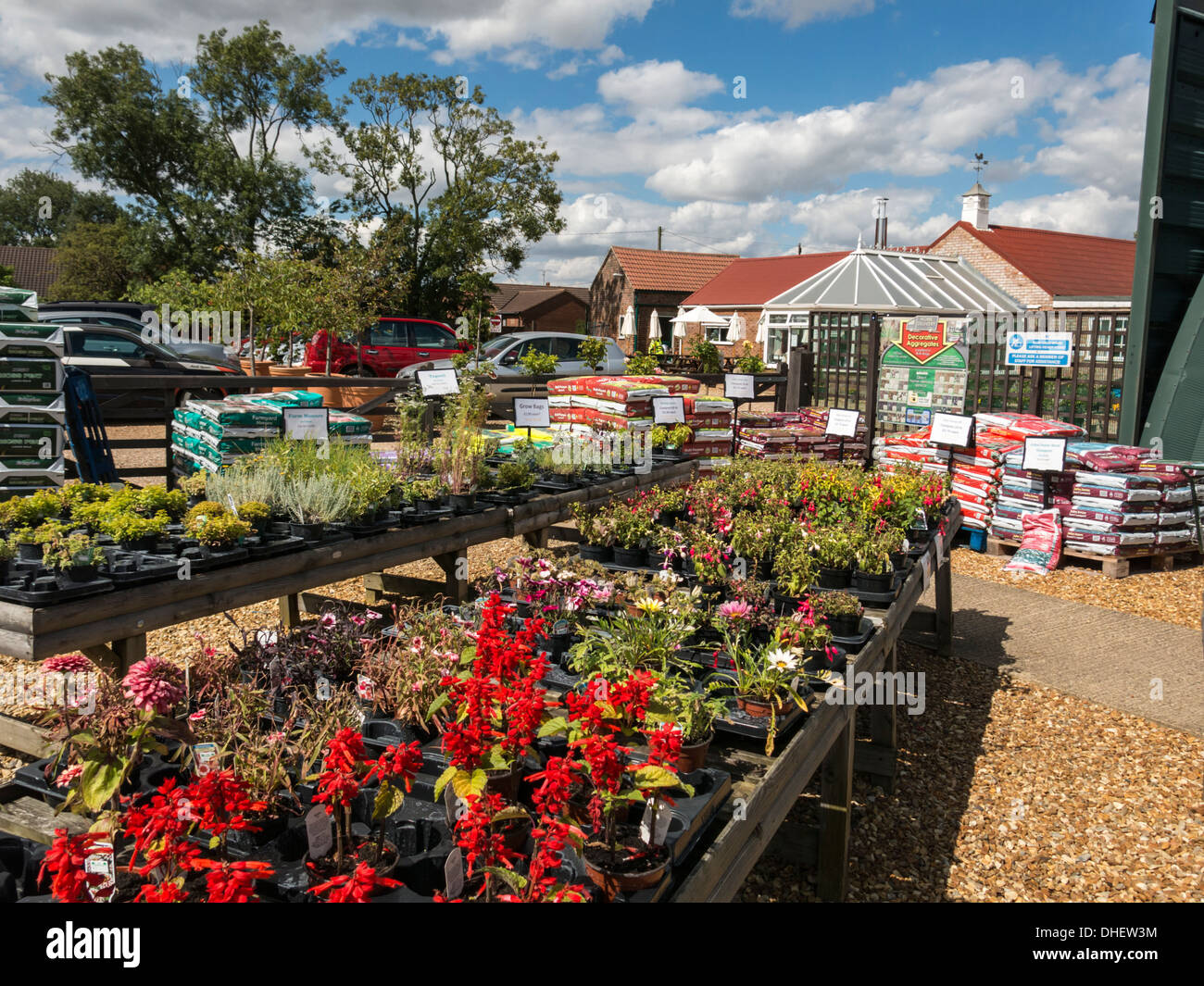 English Garden center with rows of bedding plants and flowers for sale