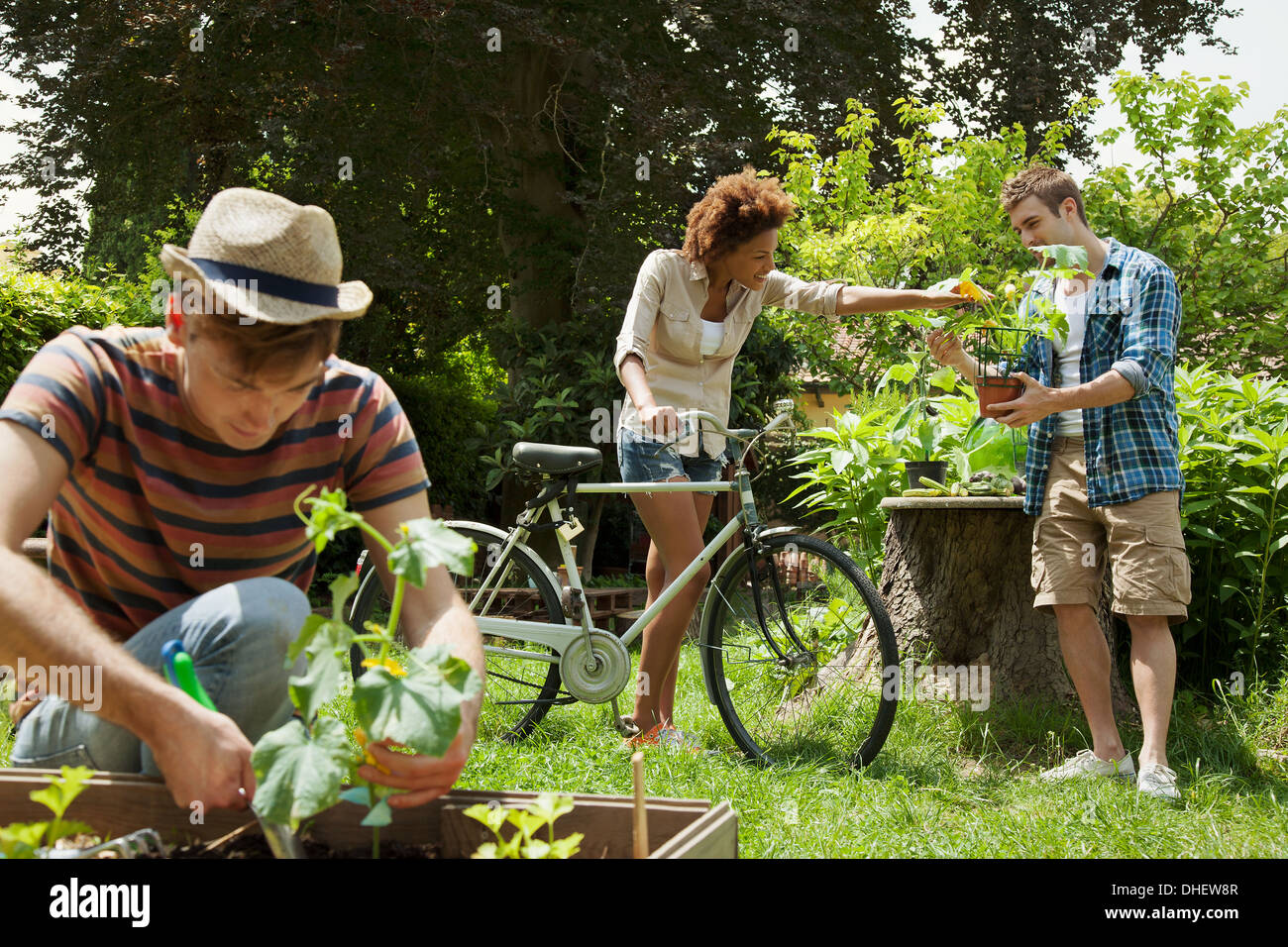 Friends gardening, woman with bicycle Stock Photo