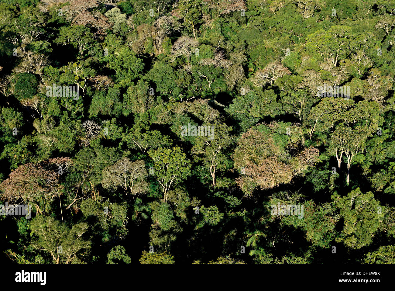 Brazil, Pantanal: Aerial shot of the rain forests around Poconé Stock Photo