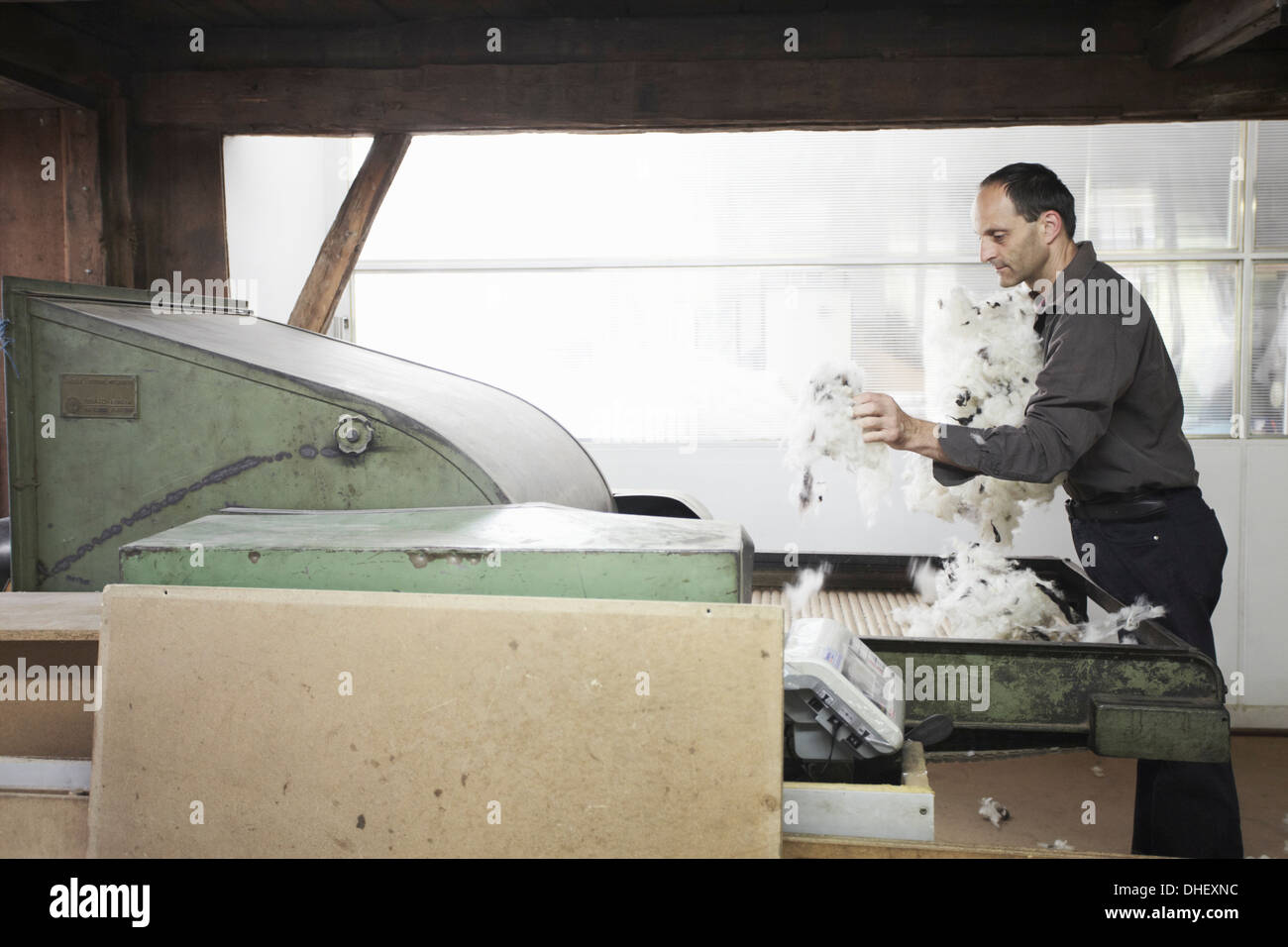 Man adding fleece to machine in wool factory Stock Photo