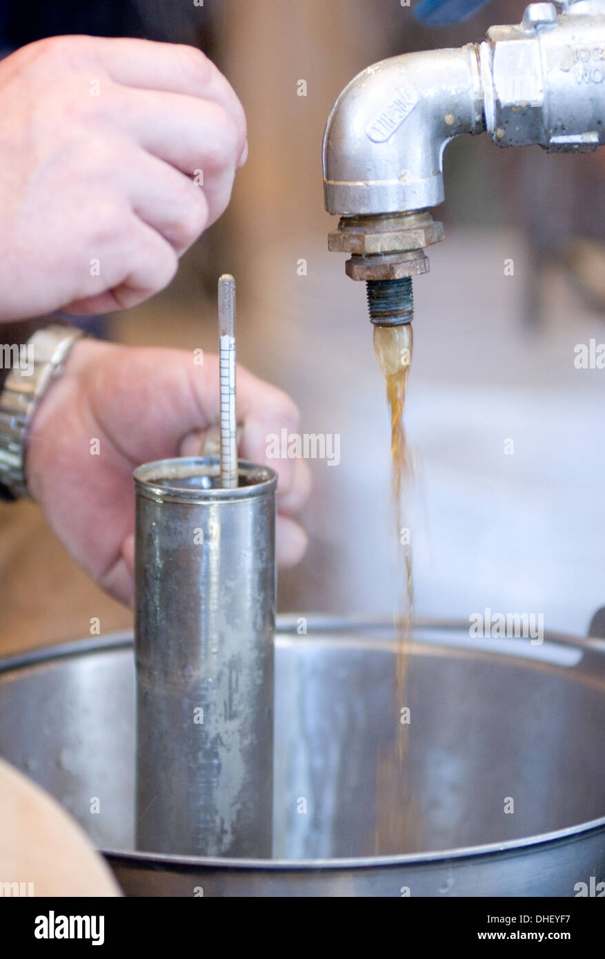 Testing the Maple Syrup Stock Photo Alamy