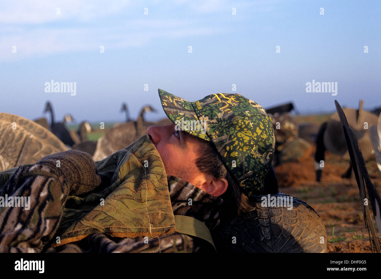 A goose hunter hinds beneath cammo while hunting Canada geese in Texas
