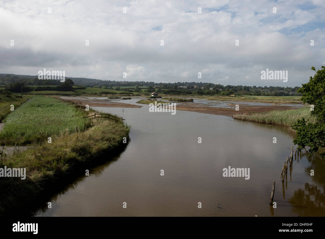 Summer at the East Devon Axe Estuary Wetlands Nature Reserve near Seaton in Devon Stock Photo