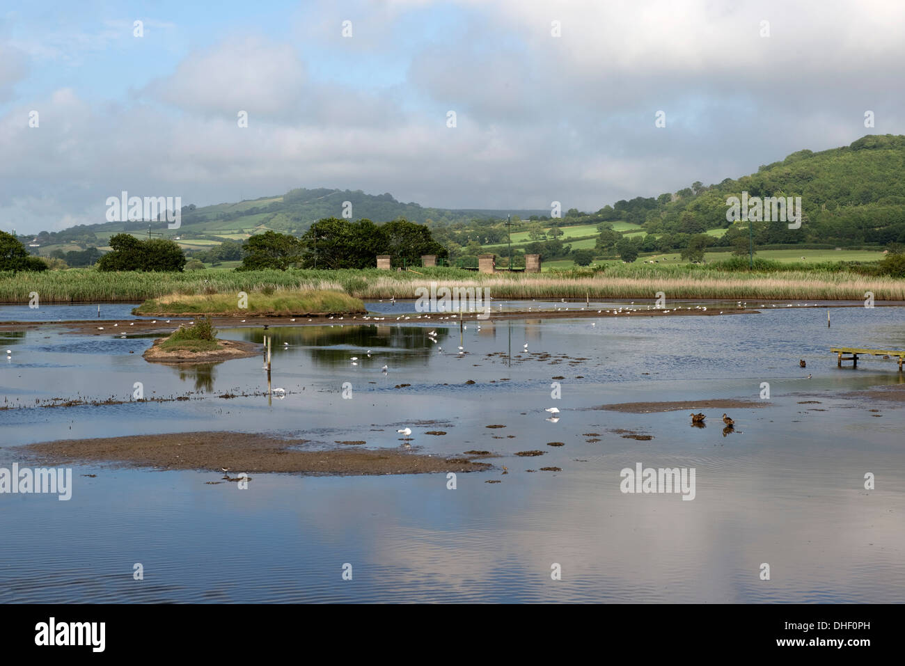 Summer at the East Devon Axe Estuary Wetlands Nature Reserve near Seaton in Devon Stock Photo