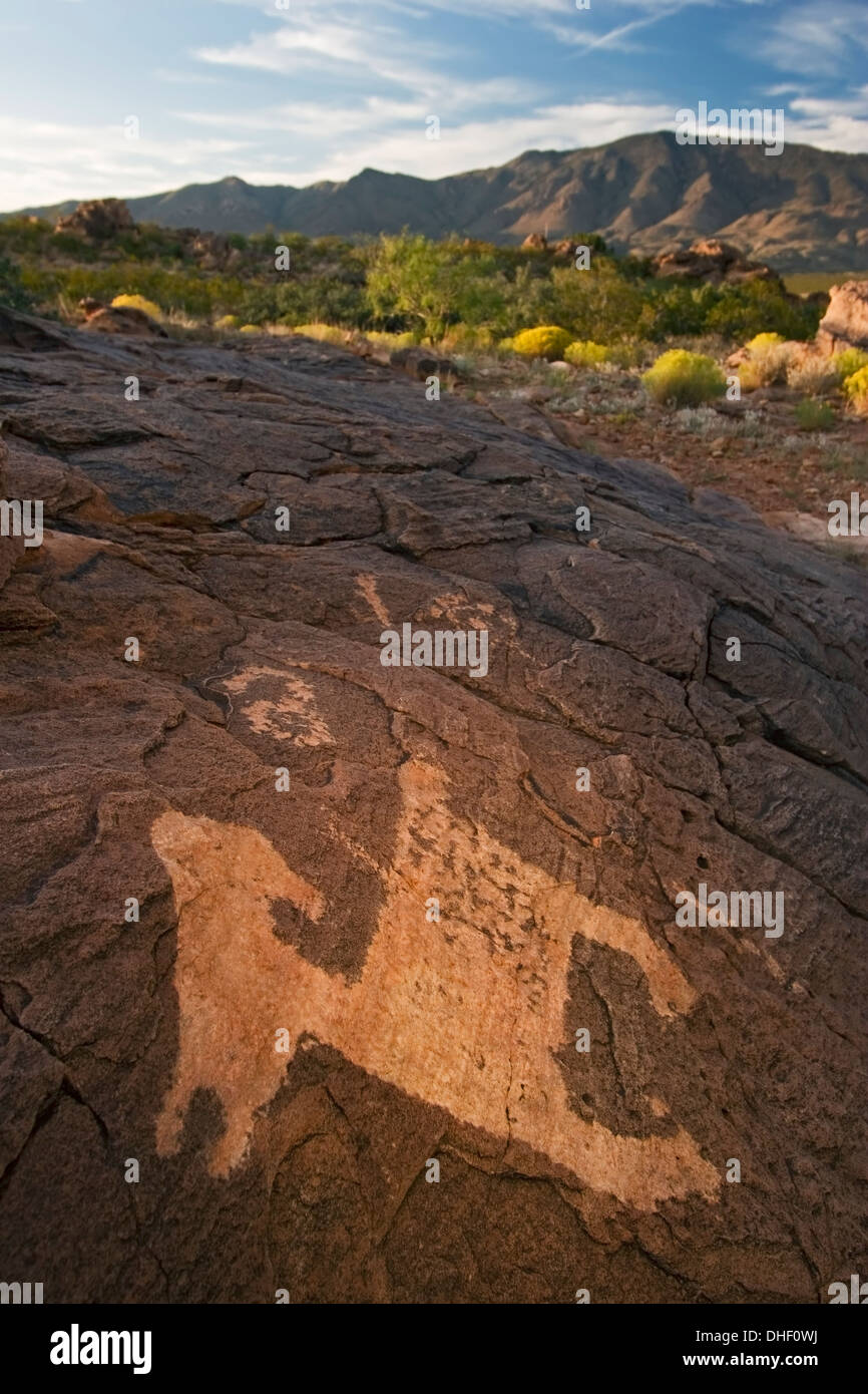 Petroglyph and Cookes Range, Pony Hills Petroglyph Site, near Deming, New Mexico USA Stock Photo
