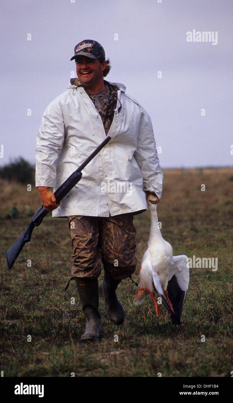A hunter with Snow geese (Chen caerulescens) while goose hunting at
