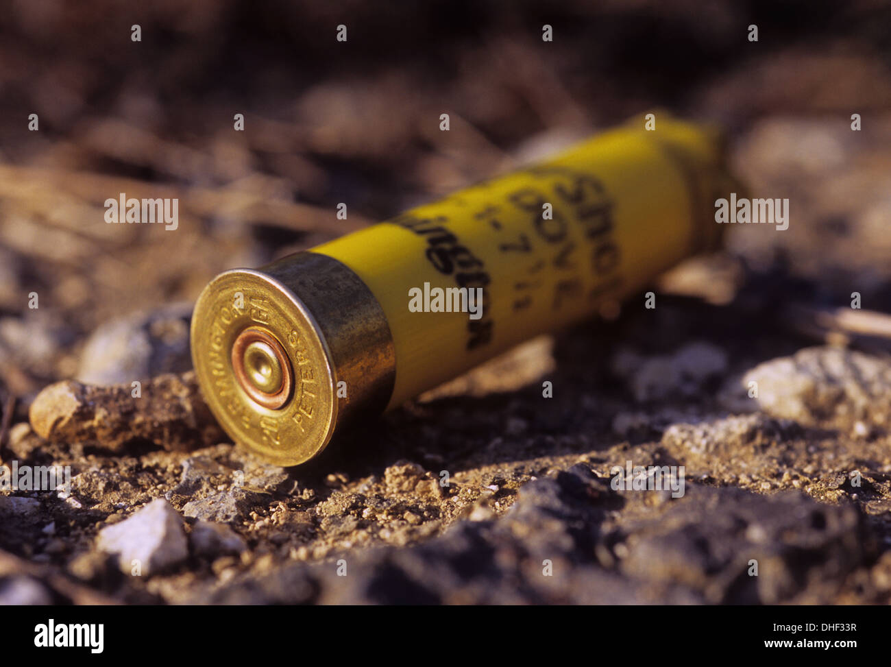 An empty shotgun shell used while dove and quail hunting in Texas Stock
