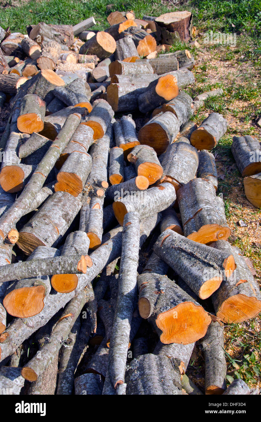 fresh alder firewood in farm Stock Photo Alamy