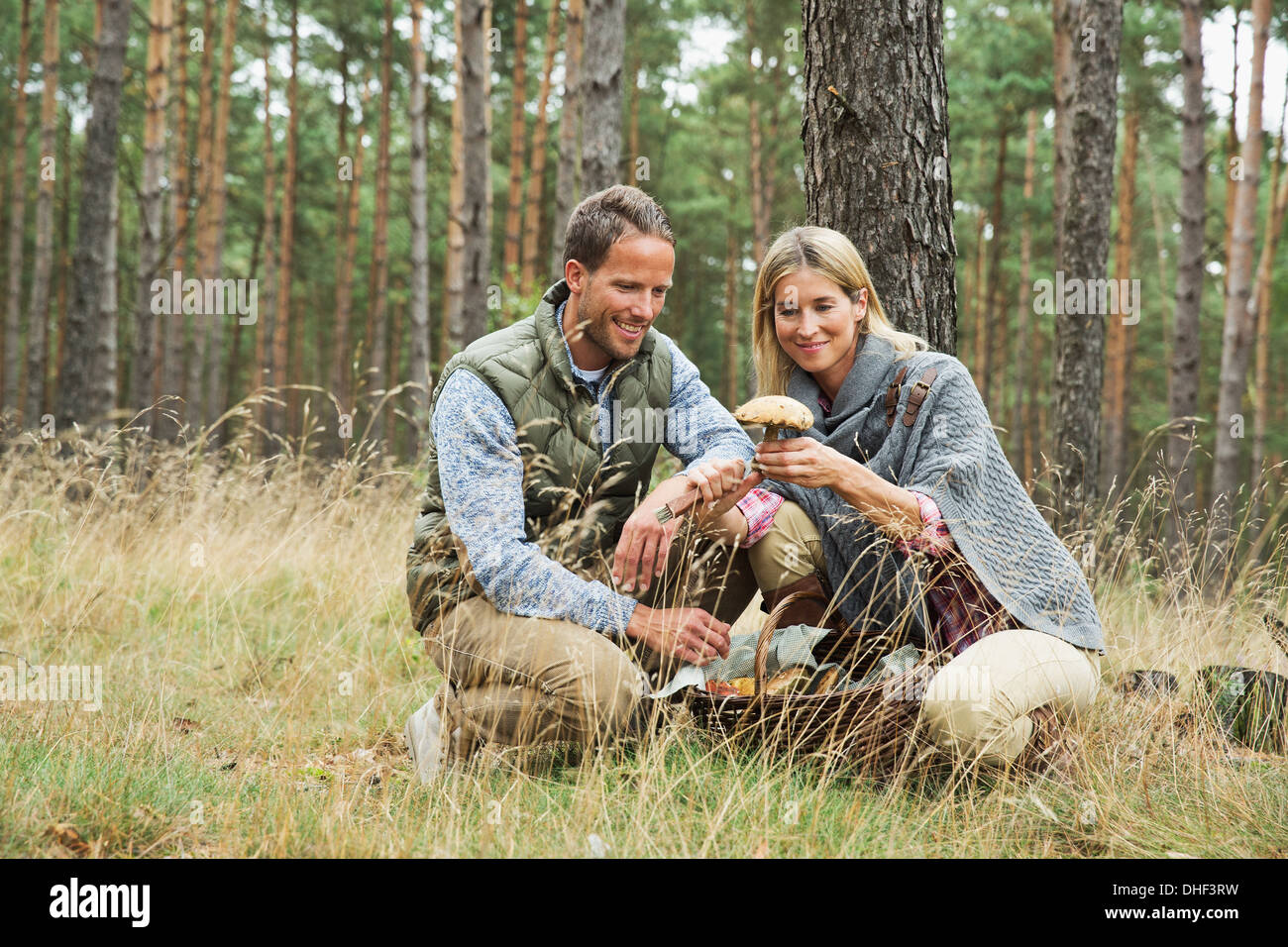 Mid adult couple foraging for mushrooms in forest Stock Photo