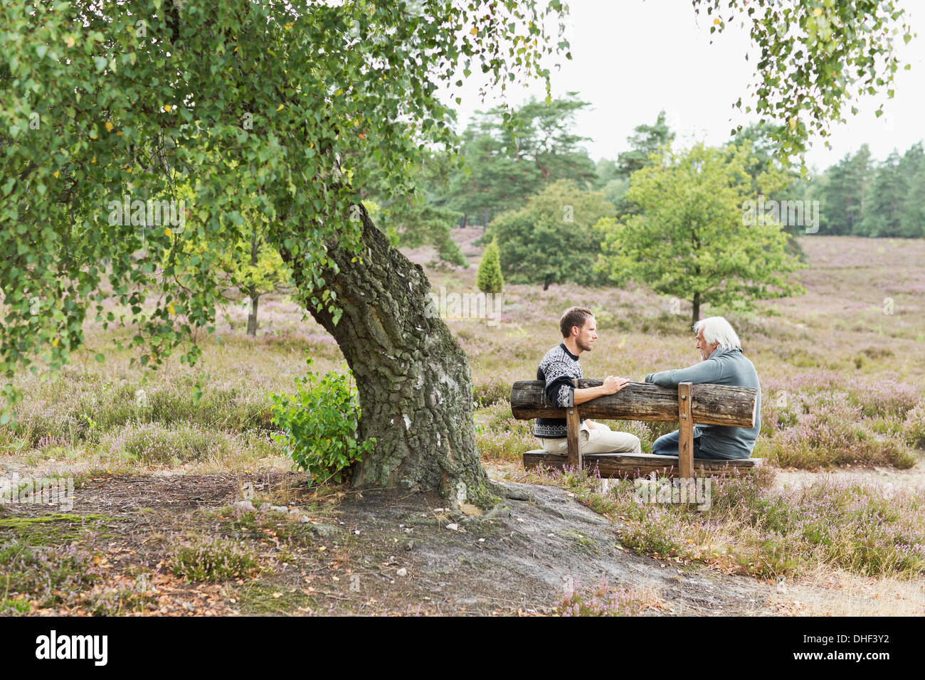 Senior man and mid adult man sitting on bench Stock Photo