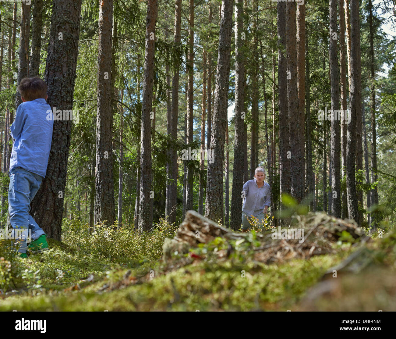 Mother and son playing hide and seek in forest Stock Photo
