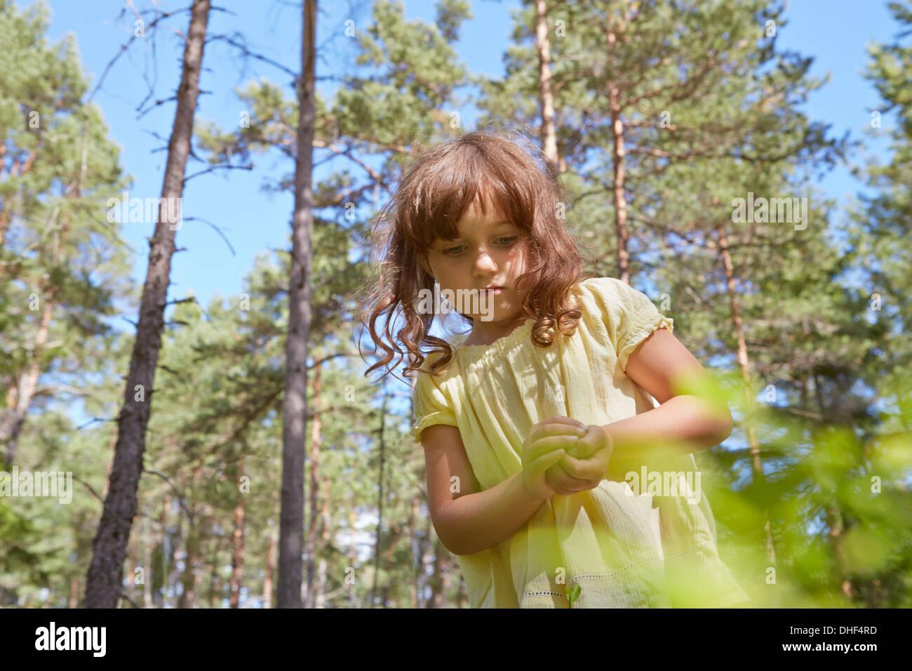 Girl with hands clasped in forest Stock Photo