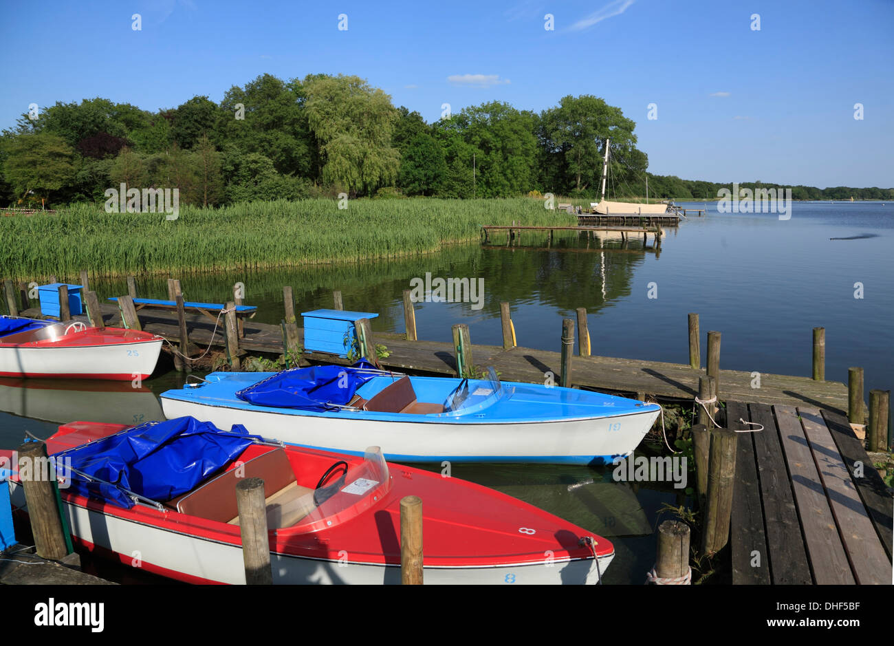 Paddleboats at Dreibergen, Ammerland region, Zwischenahner Meer, Lower Saxony, Germany Stock Photo