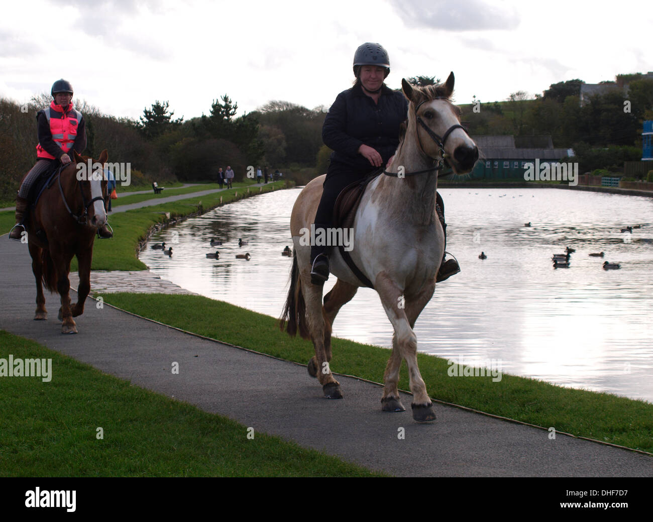 Horse riding path uk hires stock photography and images Alamy