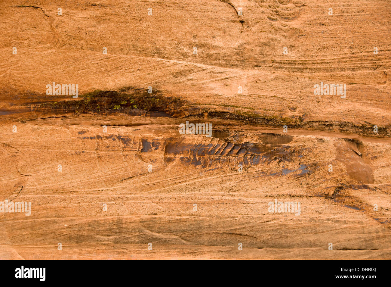lake powell tapestry wall Stock Photo Alamy