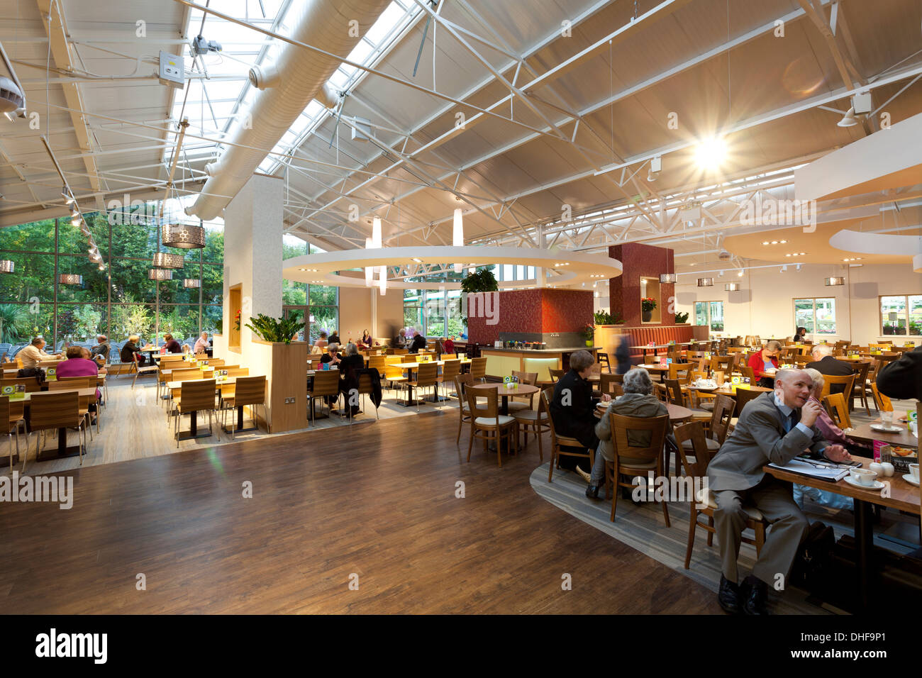 Large seating area in garden centre restaurant Stock Photo Alamy