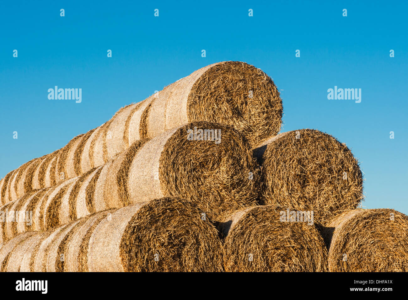 A stack of round straw bales with a blue sky background Stock Photo - Alamy