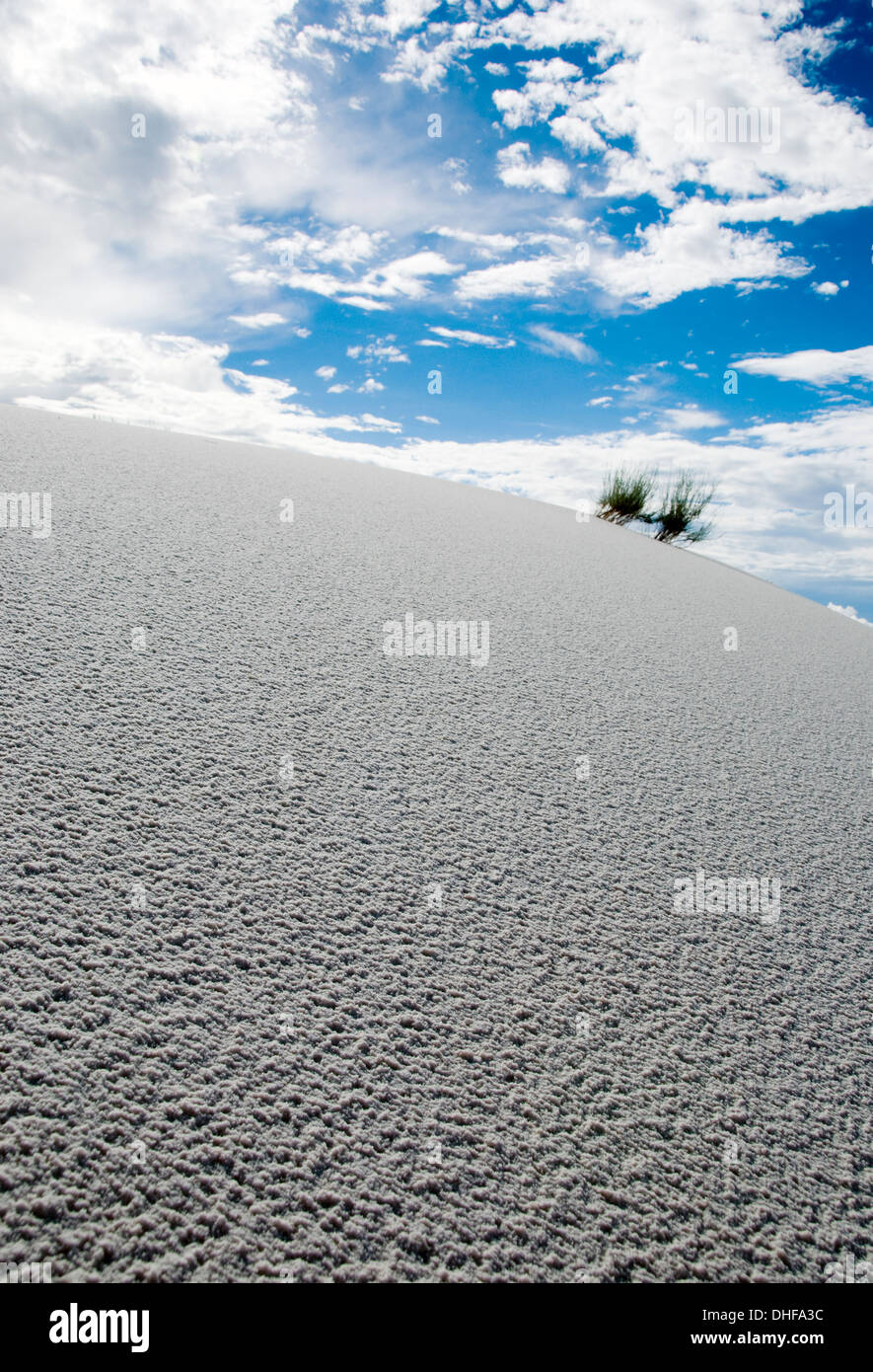 The white sands national park, …