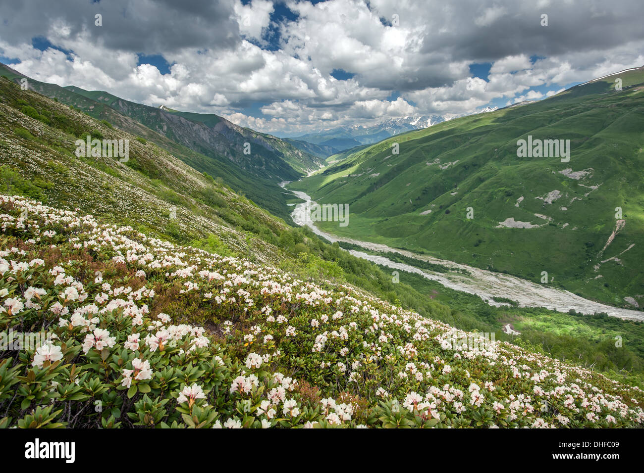 Alps beautiful mountain river hi-res stock photography and images - Alamy
