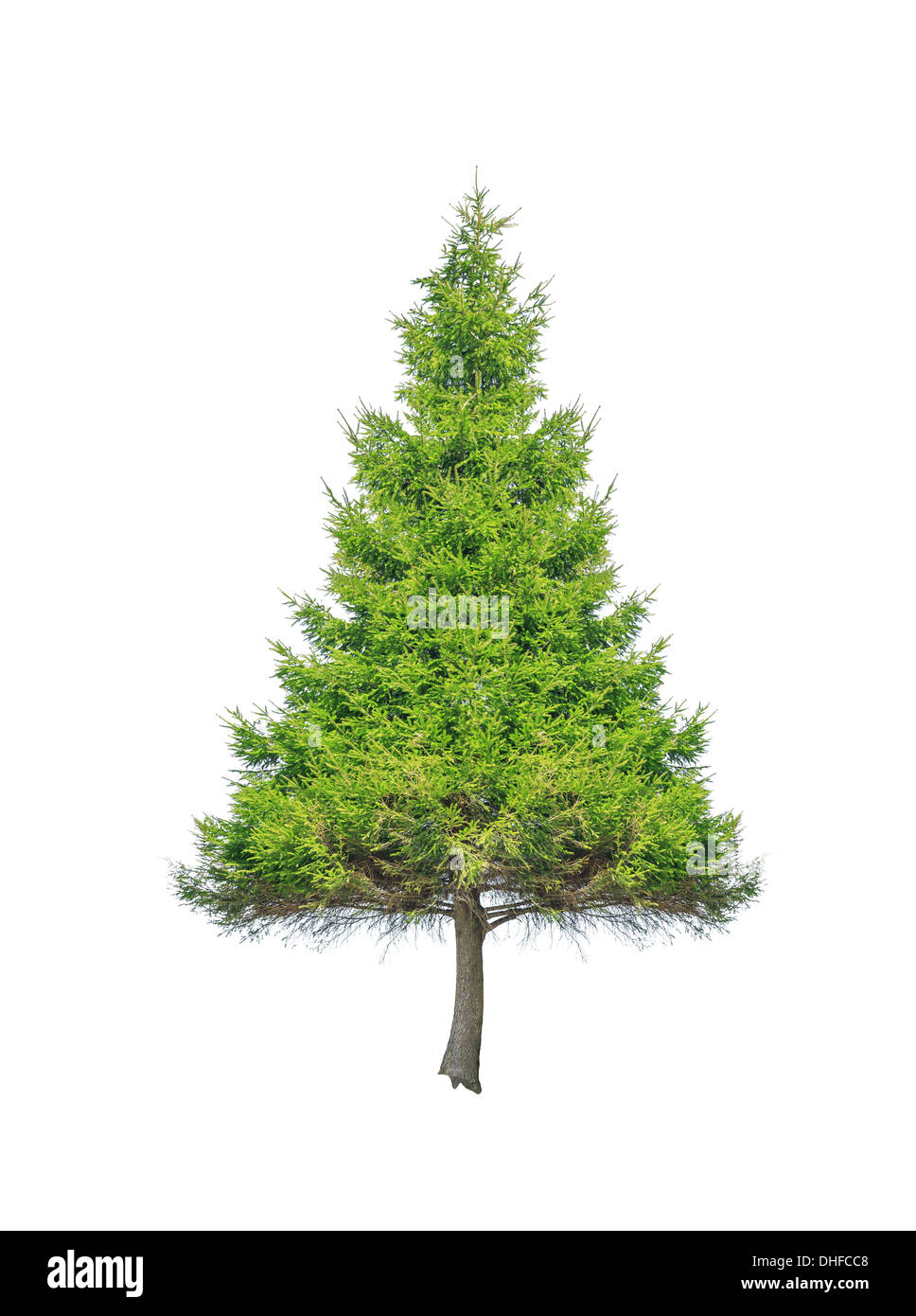 christmas tree isolated on white Stock Photo - Alamy