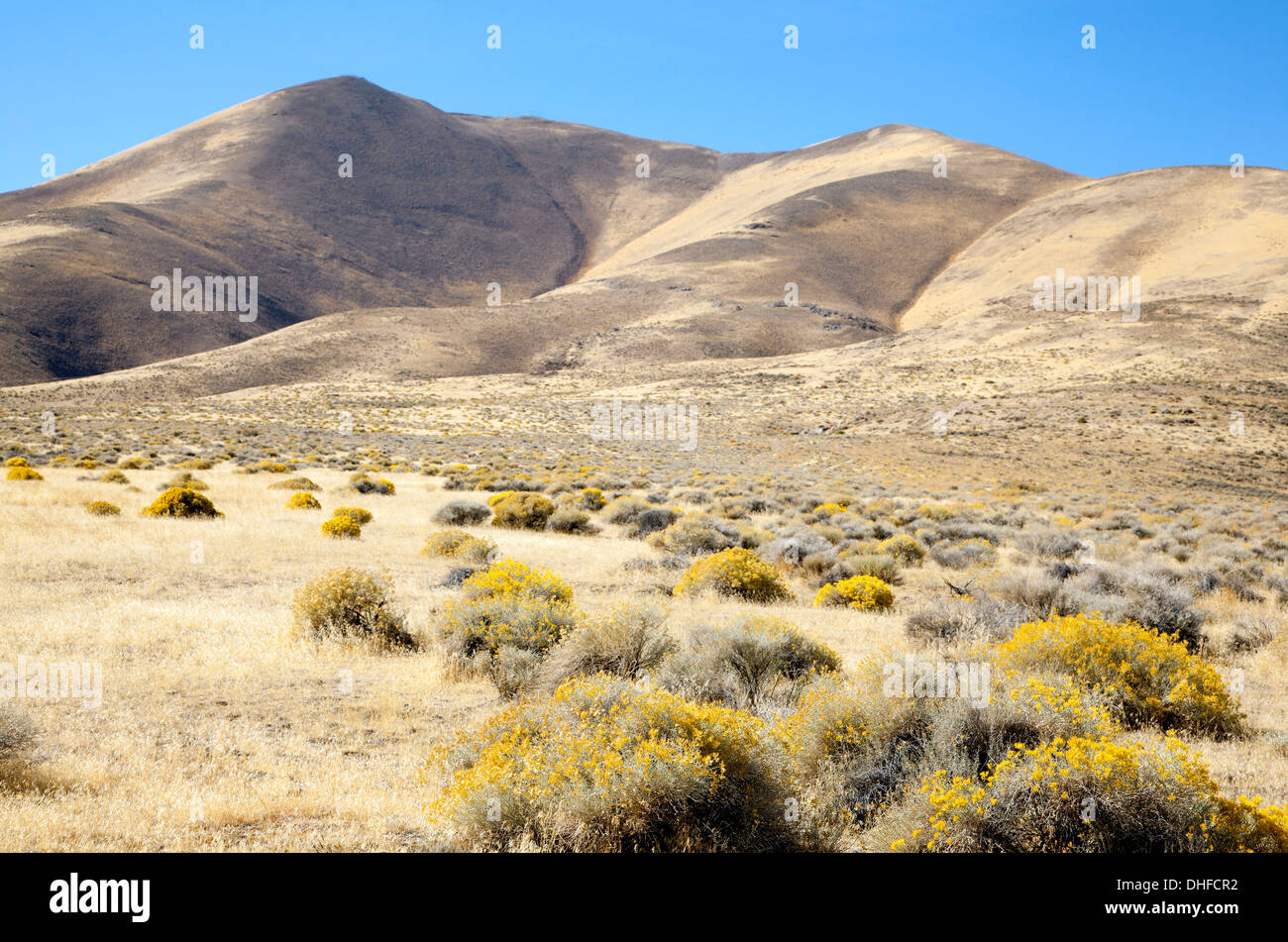 Winnemucca Mountain, Nevada,2013. Stock Photo