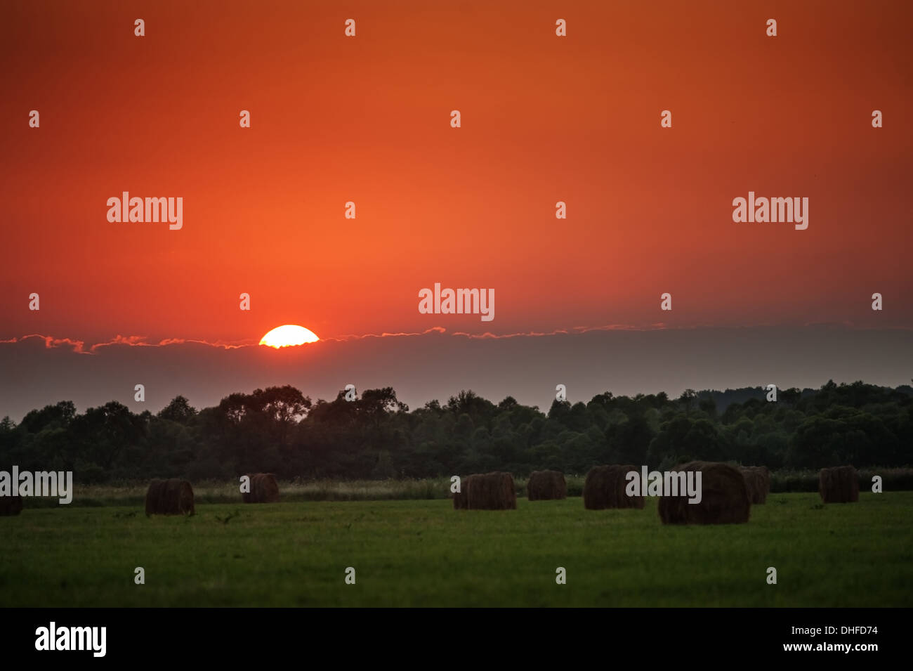 Dry hay bale on green meadow Stock Photo - Alamy