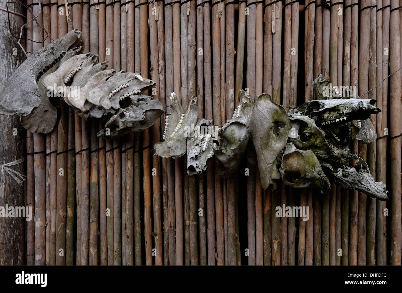 Animal bones decorating a house in Carti Sugtupu island village administered by Guna natives known as Kuna in the 'Comarca' (region) of the Guna Yala located in the archipelago of San Blas Blas islands in the Northeast of Panama facing the Caribbean Sea. Stock Photo