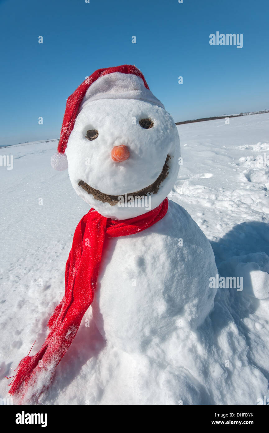 snowman look in sky and wait spring Stock Photo - Alamy