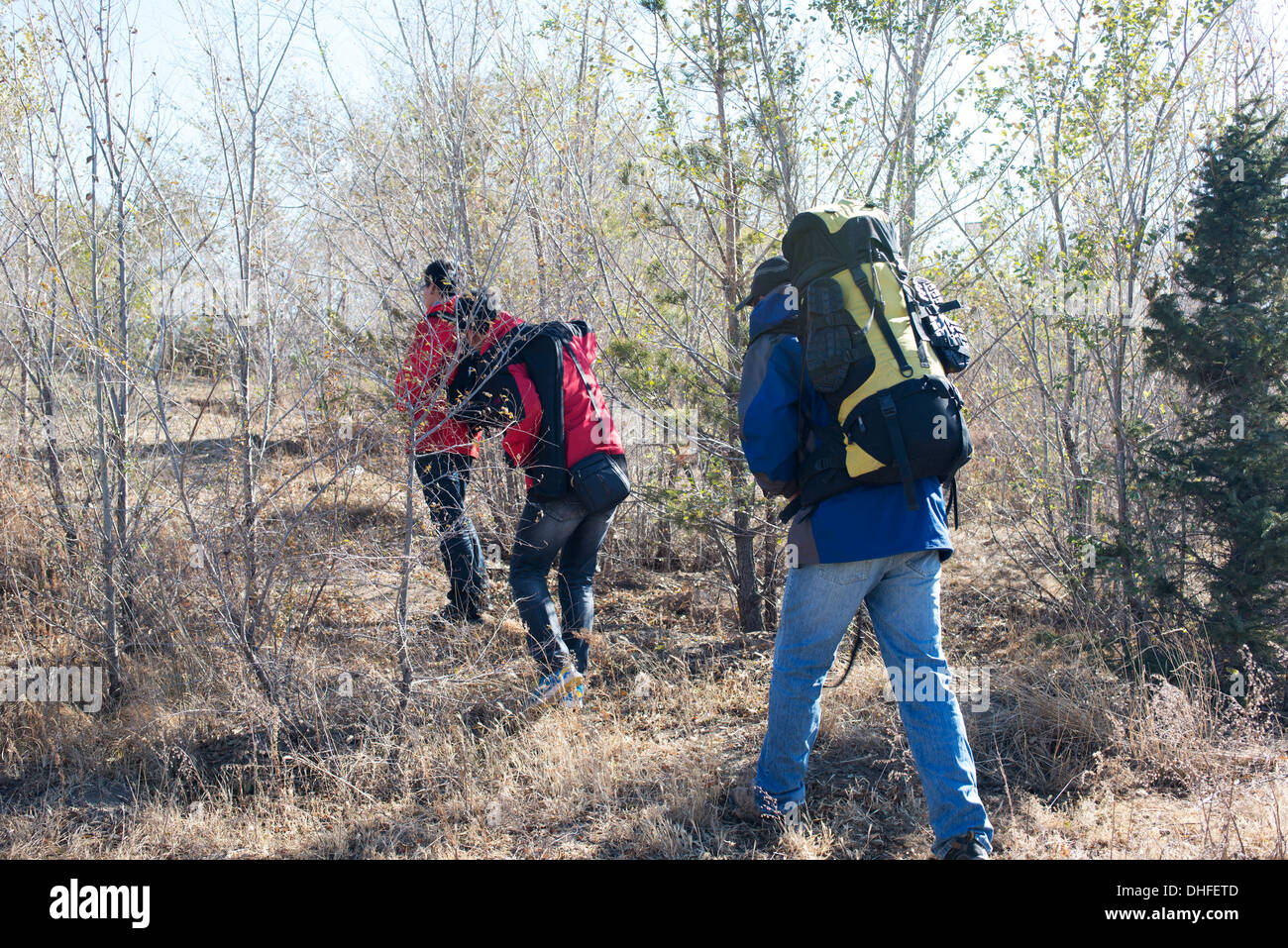 Group people backpacks walking along hi-res stock photography and ...