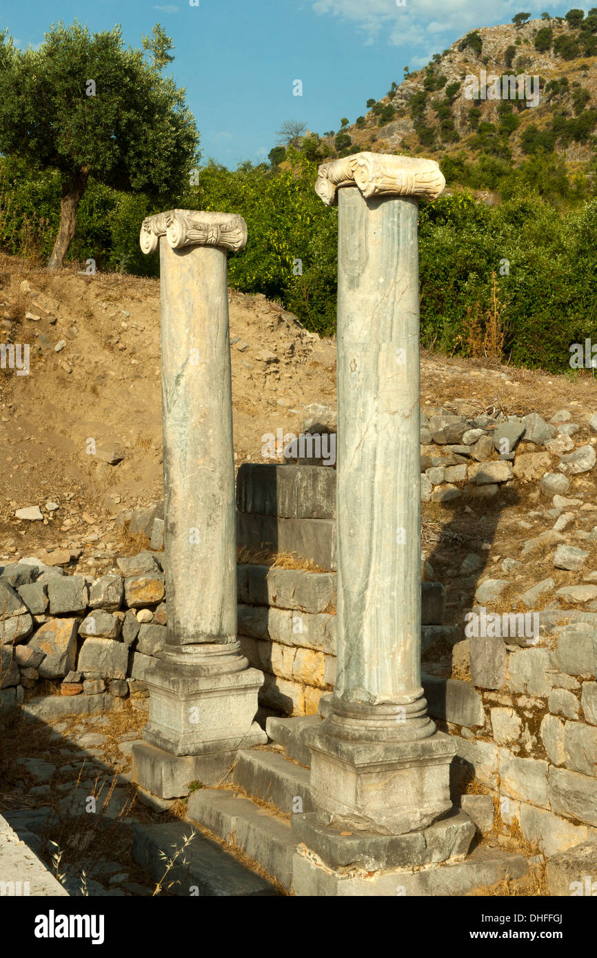 Asien, Türkei, Provinz Mugla, Dalyan, Ausgrabung von Kaunos, Säulen am Terrassentempel Stock Photo