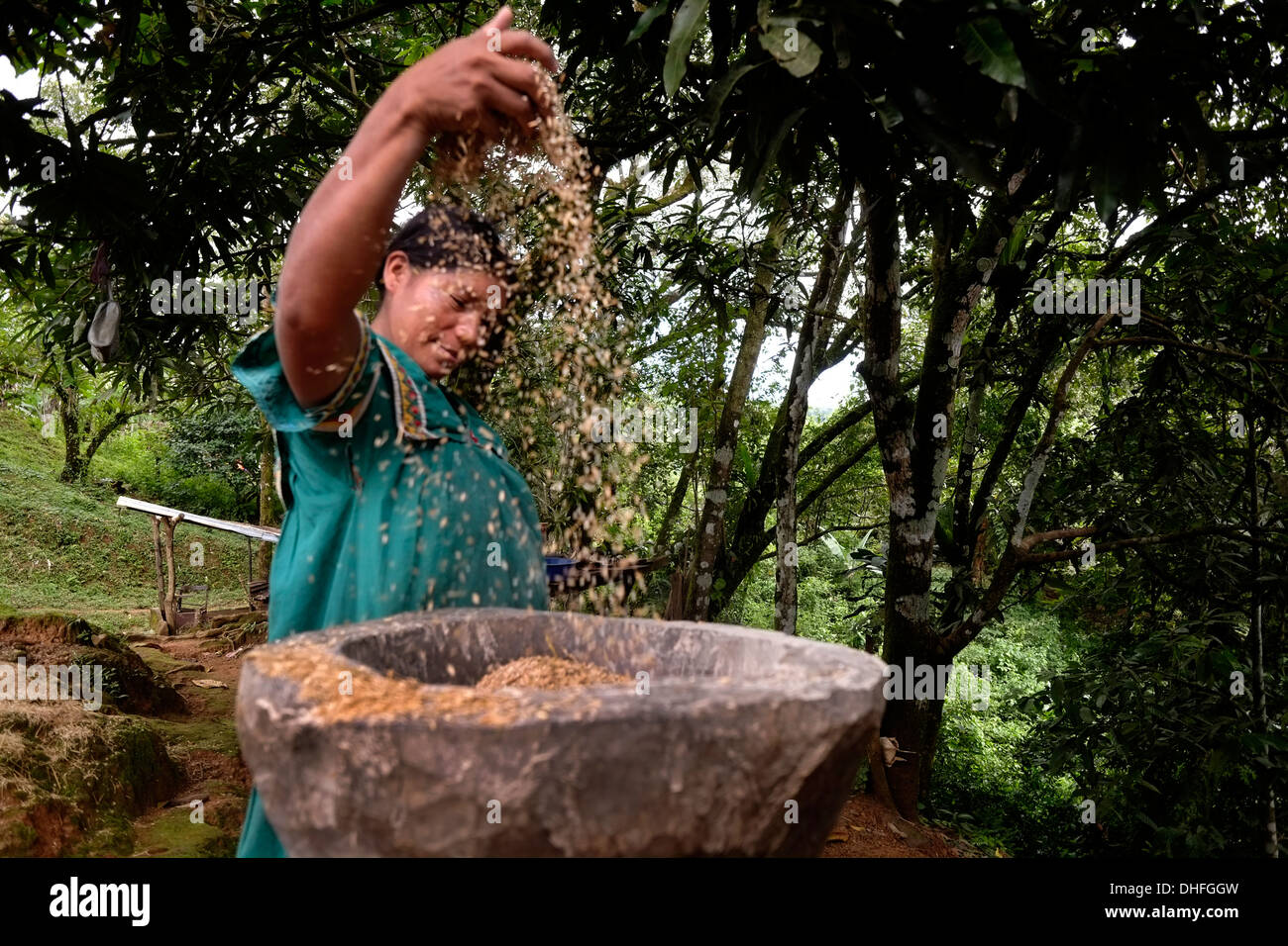 Indigenous woman of the Ngabe & Bugle native ethnic group sorts seeds in Comarca Quebrado region, Guabo reservation in Chiriqui province Republic of Panama Stock Photo