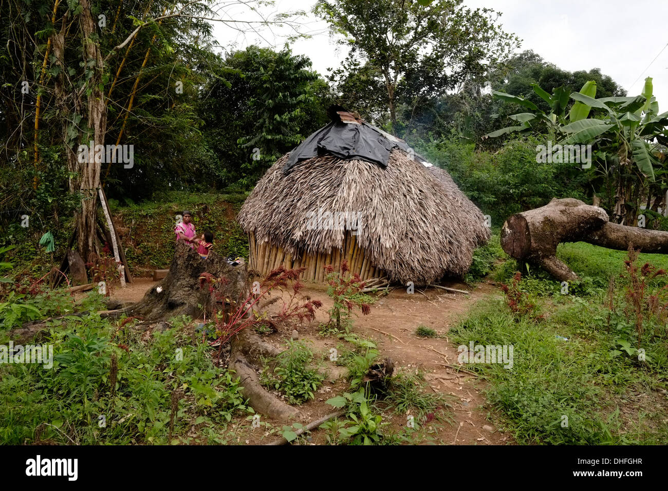 Straw huts of the Ngabe & Bugle native ethnic group located in the Comarca Quebrado region, Guabo reservation in Chiriqui province Republic of Panama Stock Photo