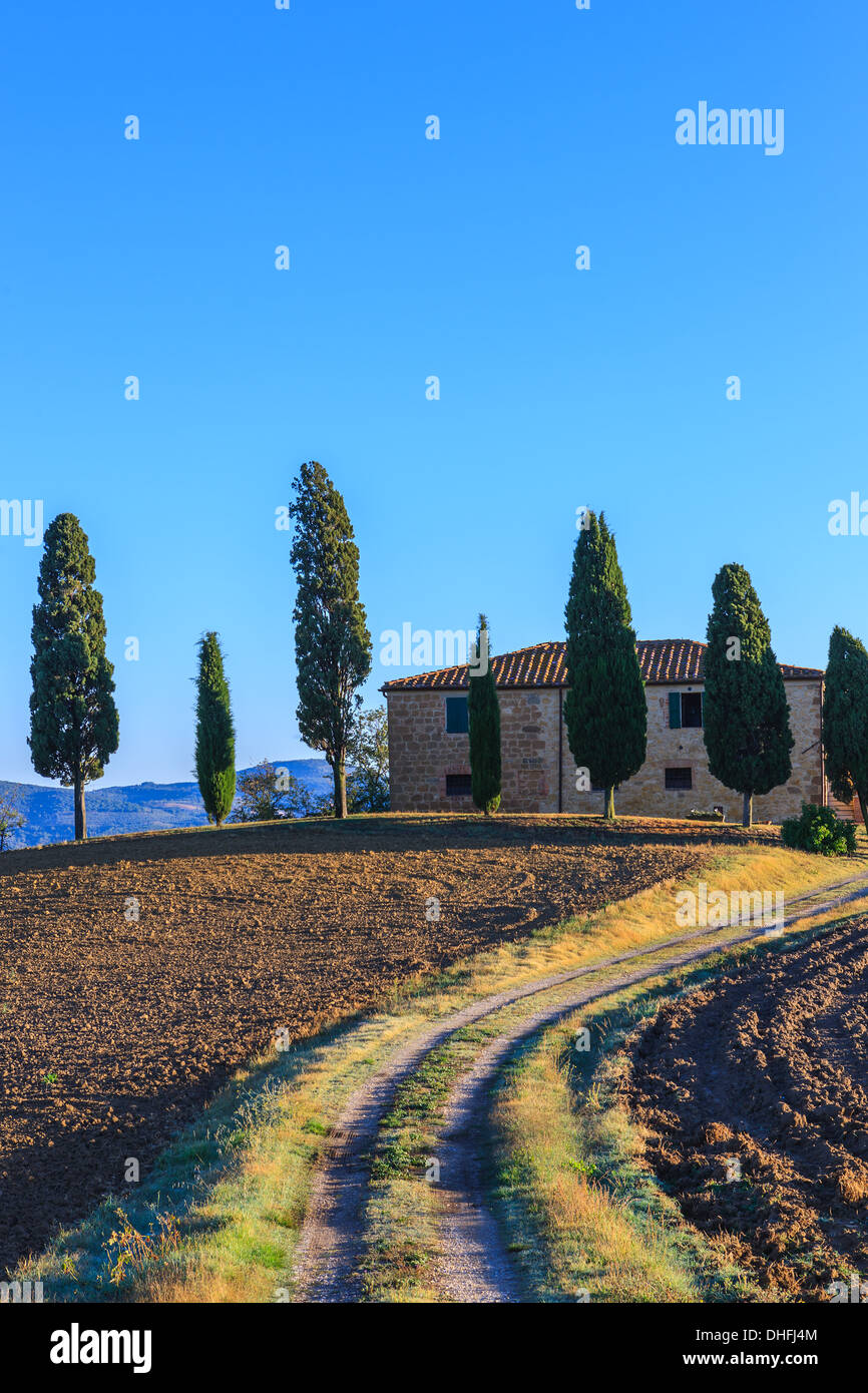 House with the famous Cypress trees in the heart of the Tuscany, near Pienza, Italy Stock Photo