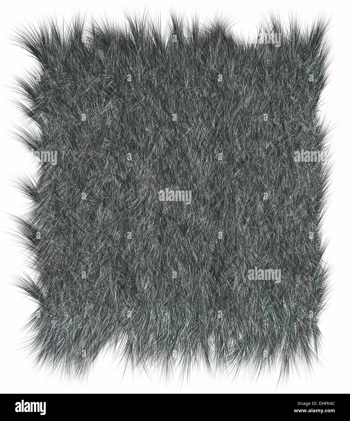 Wolf skins texture - close-up. Fashion element design. Stock Photo