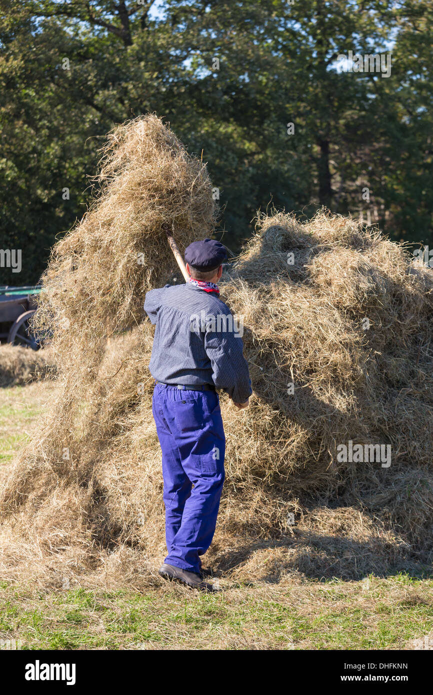 NIEUWEHORNE, THE NETHERLANDS - SEP 28: A farmer is handicraft collecting hay to a haystack during an agricultural festival Stock Photo