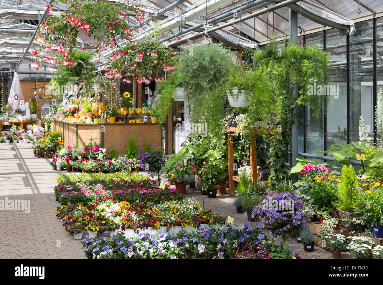 Garden center selling plants in a greenhouse Stock Photo Alamy