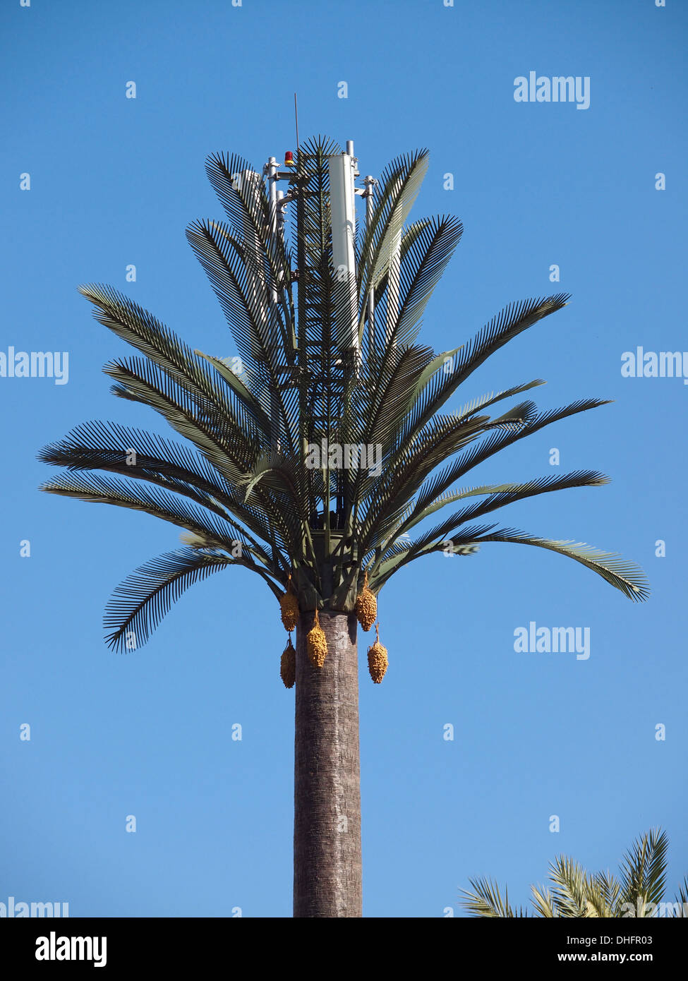 Cellular Phone tower disguised as a artificial palm tree in Marrakesh