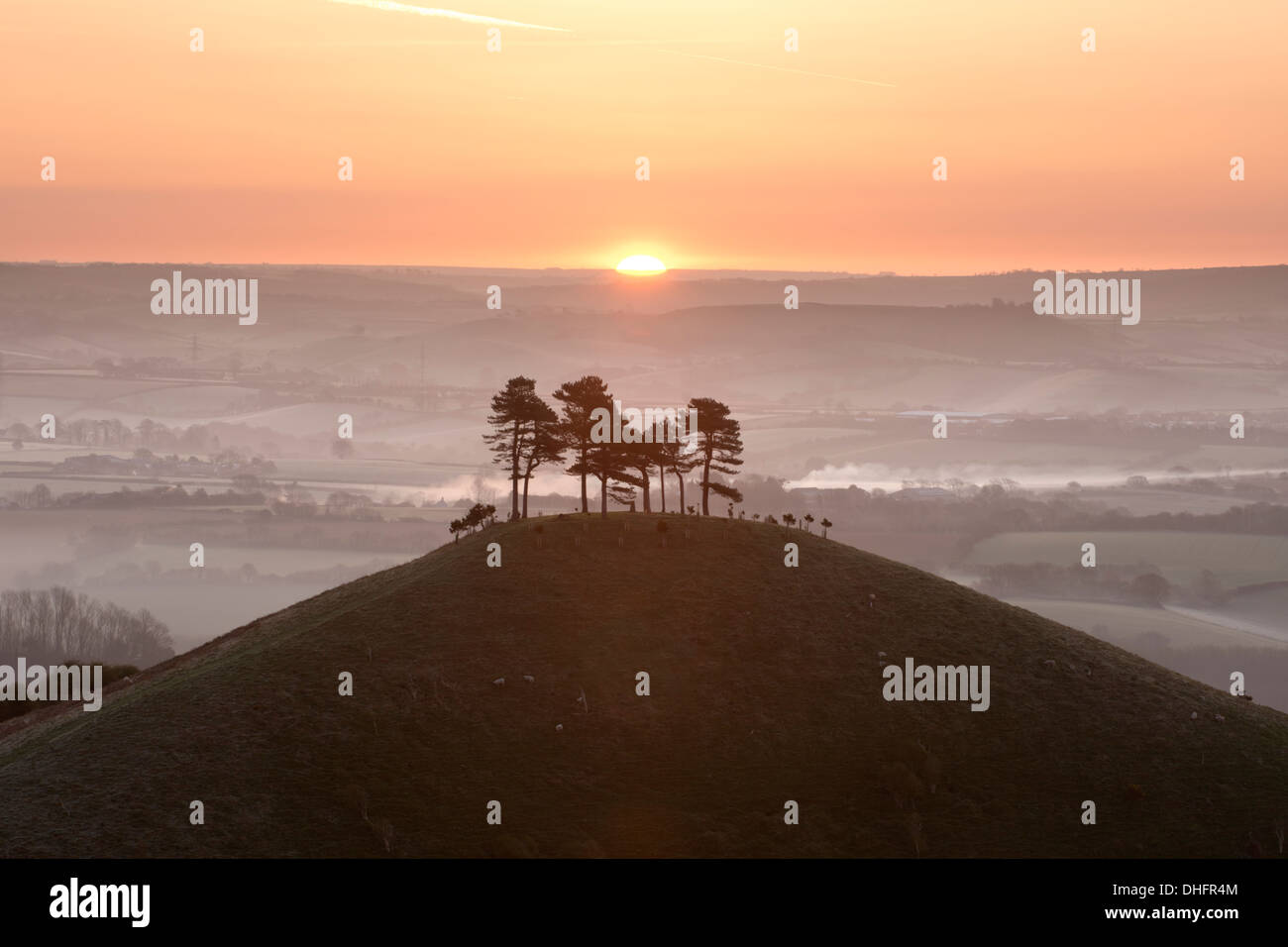 Colmer's Hill, Dorset, at sunrise on a misty early morning in early spring. Stock Photo