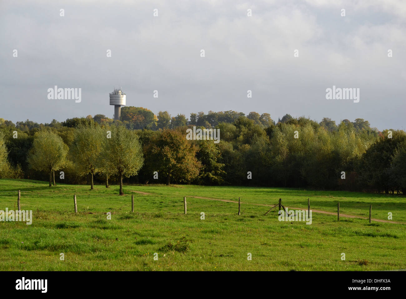 Field in Limburg with overcast skies. Tower in background with attennae and mobile phone masts. Stock Photo