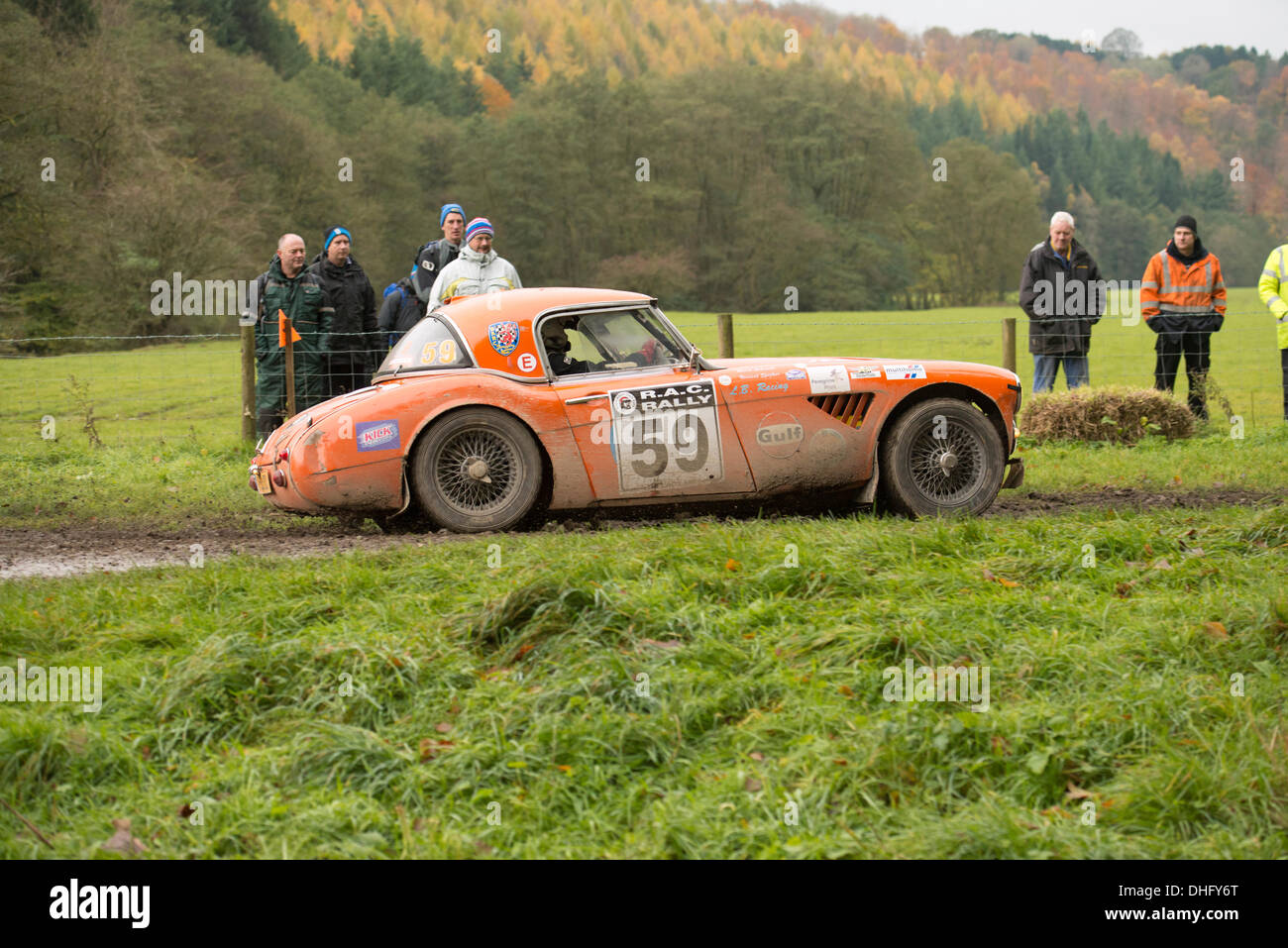 Duncombe Park, North Yorkshire, UK . 09th Nov, 2013. UK RAC Rally Duncombe Park Special Stage 7. Mark Shmidt and Vincent Spijker from Belgium at this point lying 4th in their class  (for historic cars registered before 31.12.1967) in an Austin Healey 3000 Credit:  Geoff Tweddle/Alamy Live News Stock Photo