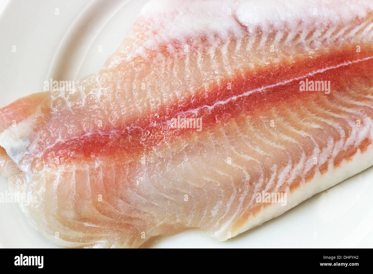 Raw fish fillet on porcelain Stock Photo