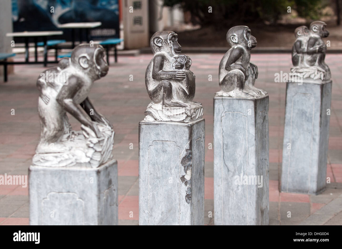 Monkey statues in Beijing Zoo in Xicheng District, Beijing, China Stock