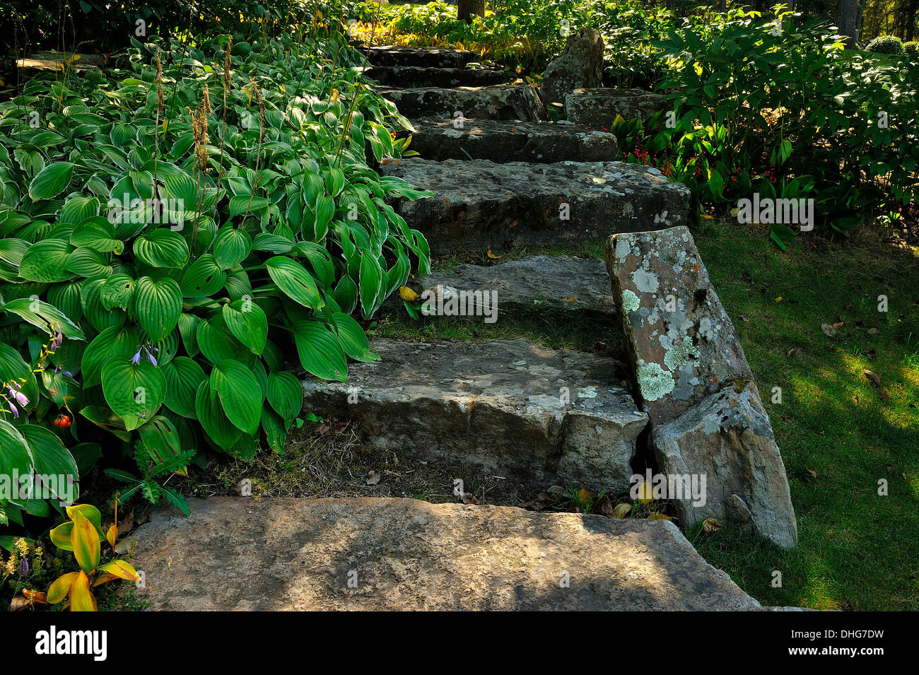 Garden stone steps hi-res stock photography and images - Alamy