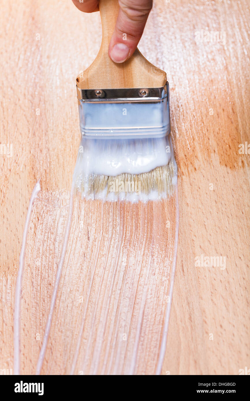 lacquering of surface of beech table top by paint brush Stock Photo