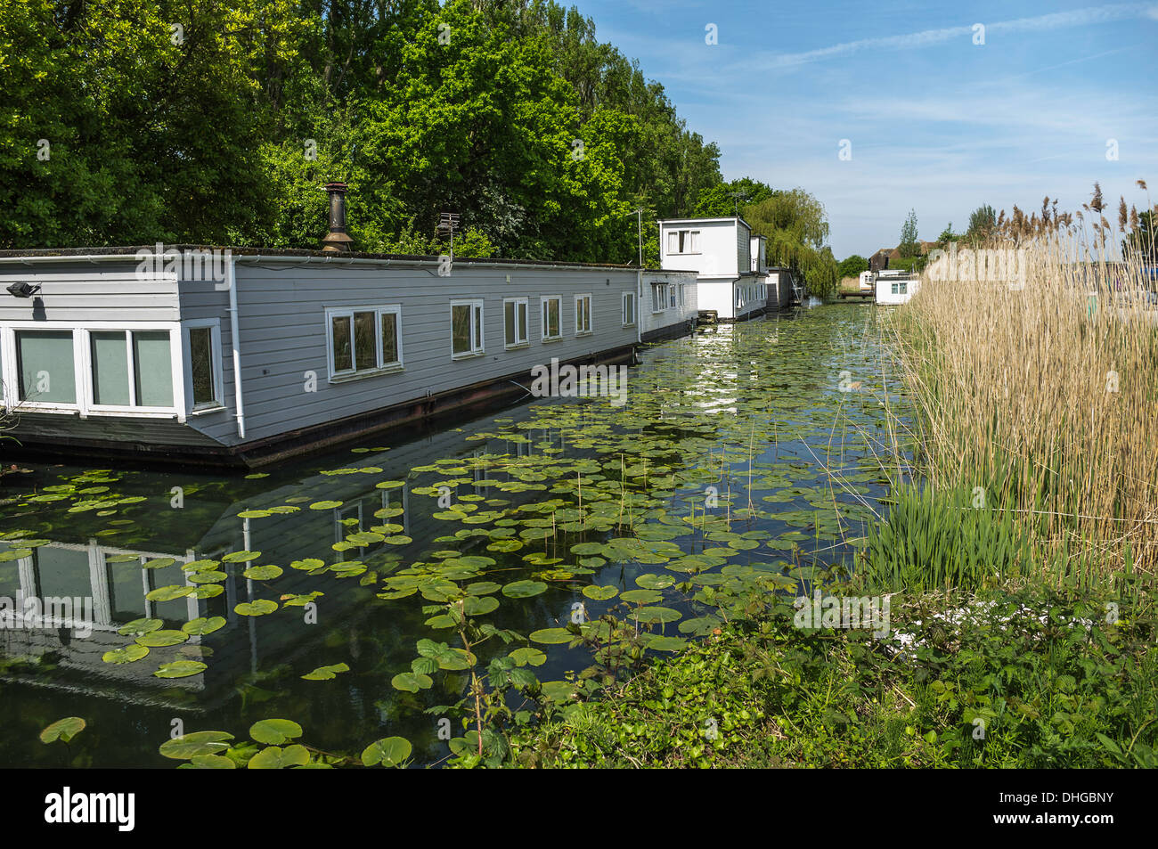 Houseboats on the Chichester canal near Chichester harbour West Sussex