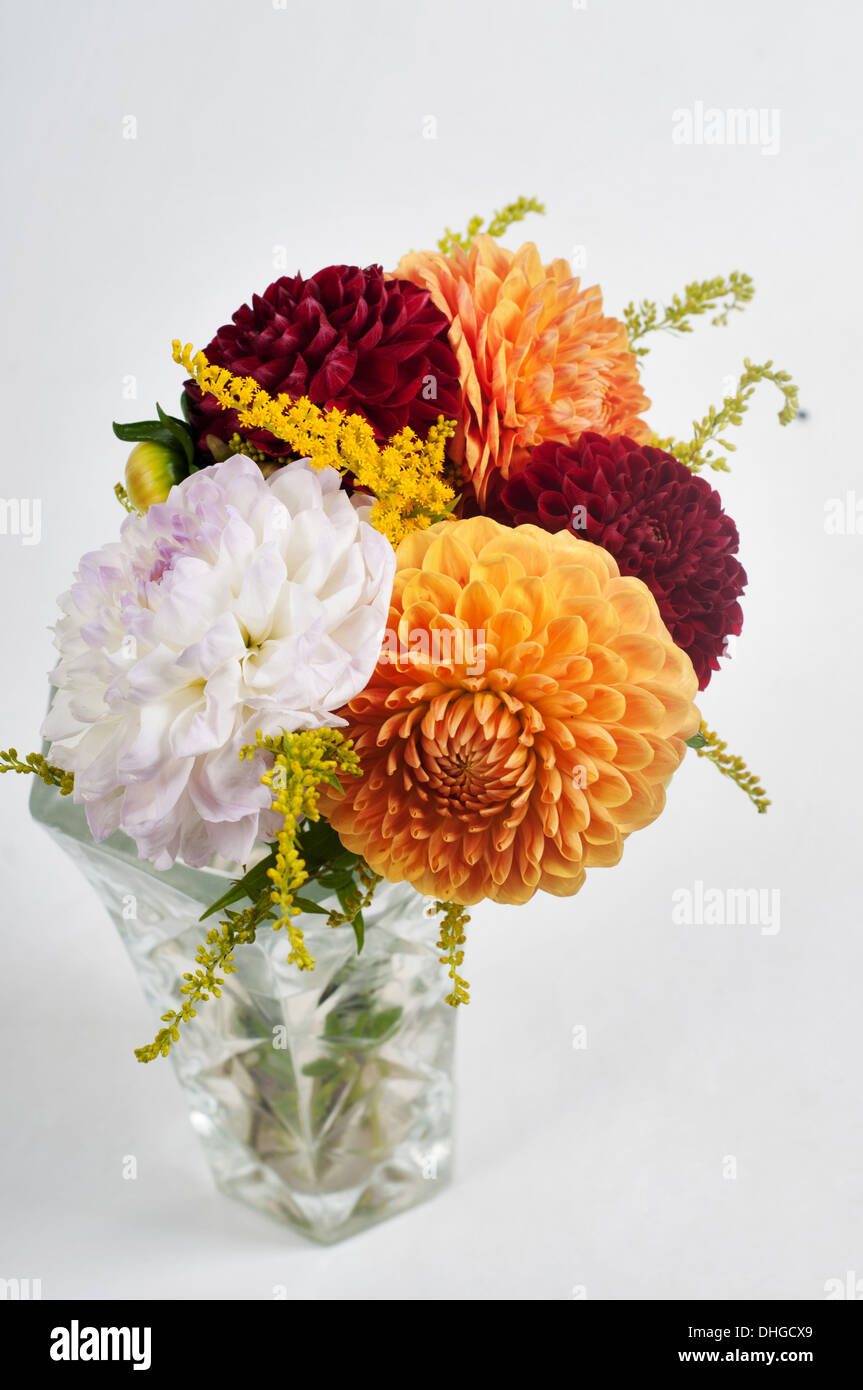 Bouquet dahlias in glass hi-res stock photography and images - Alamy