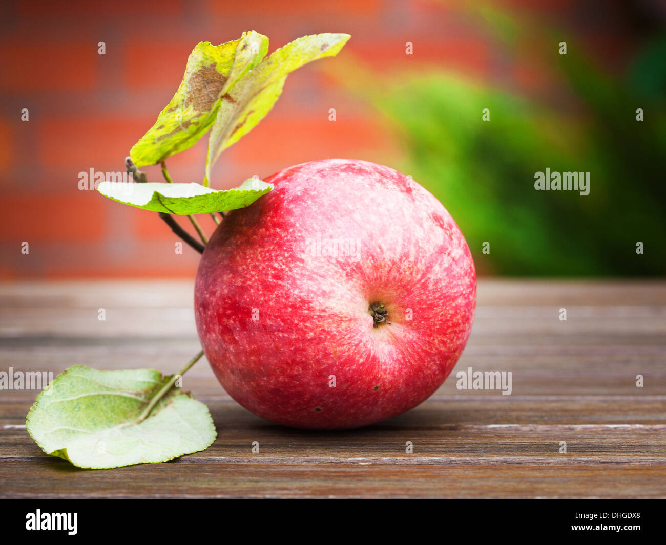 Red apple on wooden table in autumn garden against brick wall Stock Photo