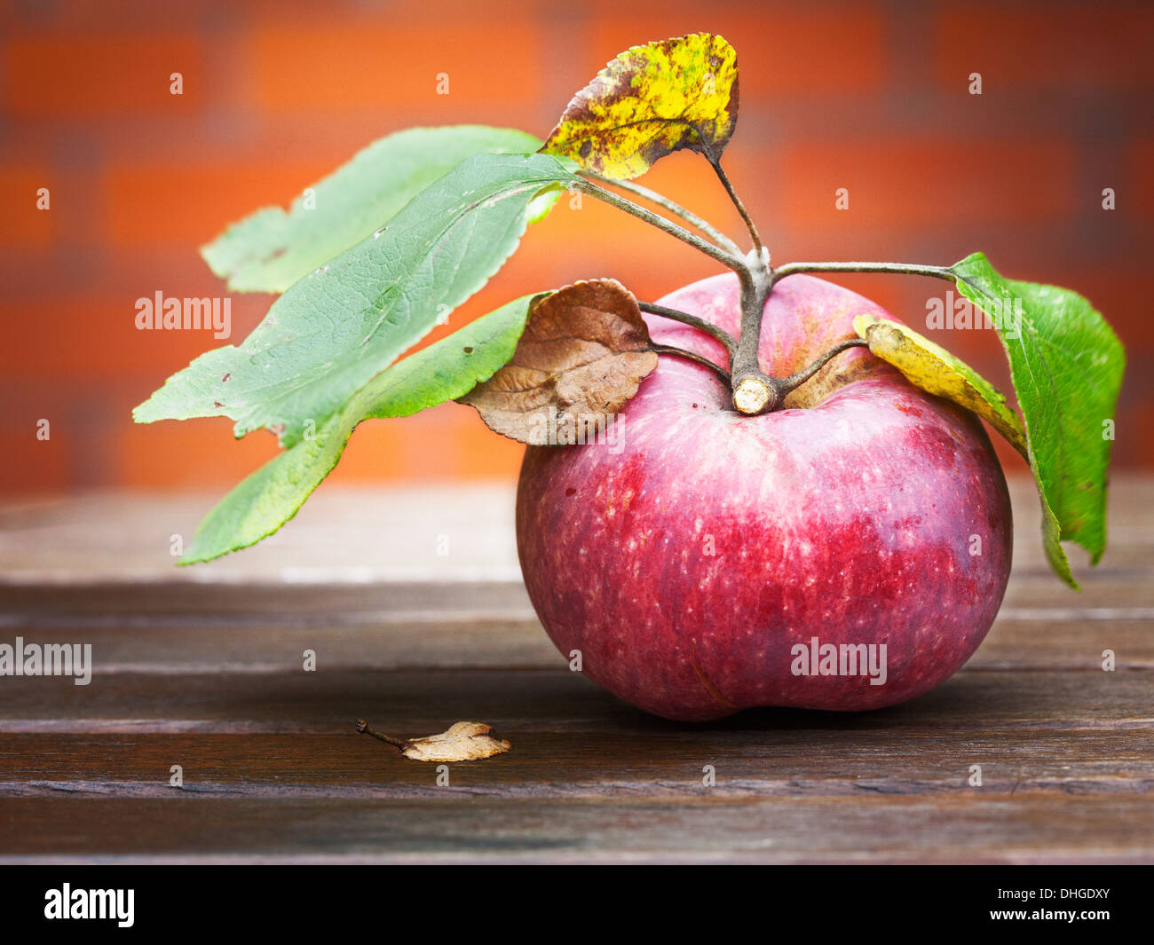 Red apple on wooden table in autumn garden against brick wall Stock Photo