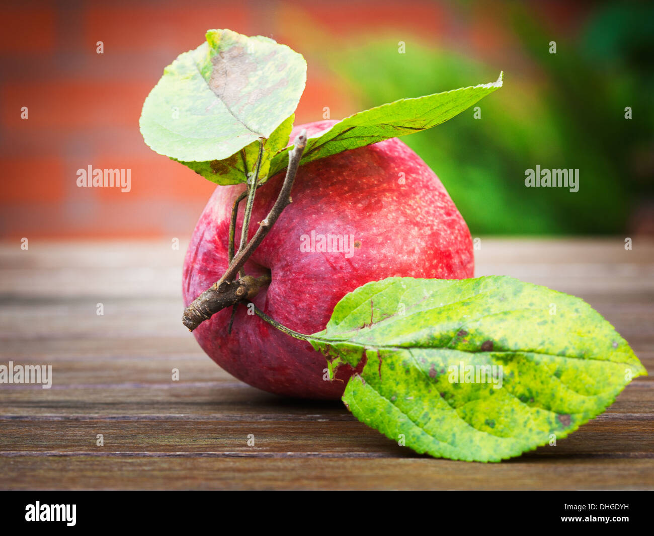 Red apple on wooden table in autumn garden against brick wall Stock Photo