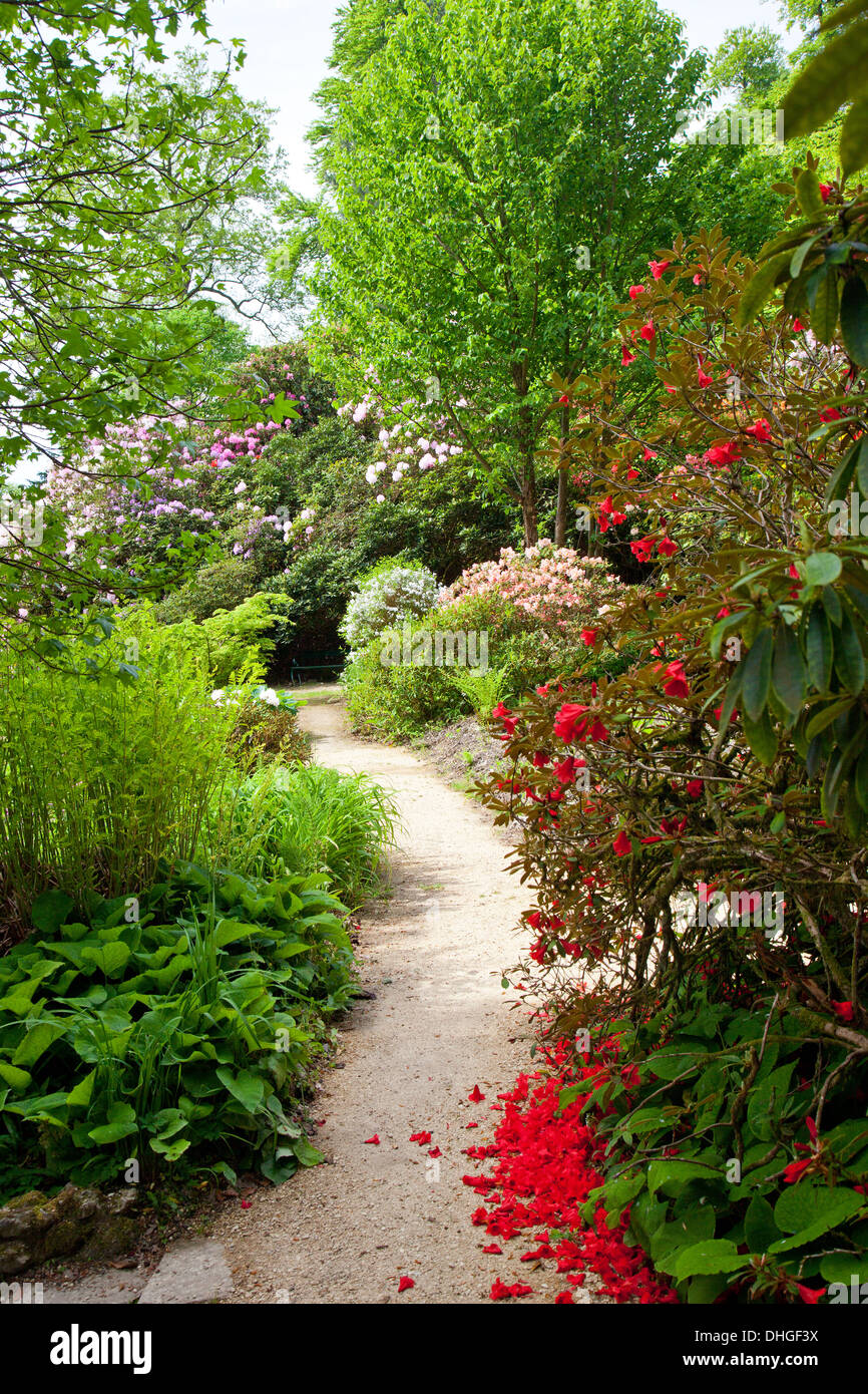 The woodland gardens surrounding Minterne House in Dorset, England, UK Stock Photo